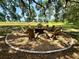 Outdoor fire pit area with seating, perfect for gatherings and relaxing in nature at 3607 Umbrella Tree Ln, Oxford, FL 34484