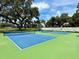 Outdoor pickleball courts featuring blue playing surfaces and green borders, surrounded by mature trees at 3607 Umbrella Tree Ln, Oxford, FL 34484