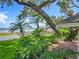 Picturesque backyard with mature trees, lush greenery, and a view of the lake and dock at 504 Banning Beach Rd, Tavares, FL 32778