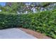 Secluded backyard featuring a privacy hedge, creating a tranquil and private outdoor oasis at 1055 Avenida Sonoma, Lady Lake, FL 32159