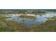 Aerial view of a property featuring marshes, grassy areas, and ponds, showcasing the natural environment and wetlands at 10711 County Road 561, Clermont, FL 34711