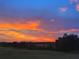 View of a sunset featuring a golden sky with clouds over a treeline with grassy fields at 10711 County Road 561, Clermont, FL 34711