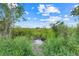 Landscape of wetlands in the backyard of this property with abundant natural beauty at 10711 County Road 561, Clermont, FL 34711