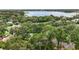 Stunning aerial view showcasing lush greenery and serene lake views in a tranquil neighborhood at 2108 Dogwood Cir, Mount Dora, FL 32757