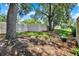 Shady backyard bordered by a white fence and mature trees with visible root systems at 2815 Spyglass Cv, Longwood, FL 32779