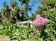 Charming home with lush green foliage and blooming pink flowers on a sunny day at 32511 Purdum Ave, Leesburg, FL 34788