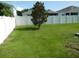 Spacious backyard surrounded by a privacy fence and lush green grass with tree at 418 Winter Bliss Ln, Mount Dora, FL 32757