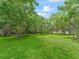 Lush backyard with mature trees and ample space at 504 Gilliam St, Wildwood, FL 34785