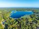 Aerial view of a wooded home site on the shoreline of a big lake at 54544 Buckhorn Rd, Astor, FL 32102