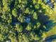 Aerial view of a charming home nestled among lush greenery next to a lake at 54544 Buckhorn Rd, Astor, FL 32102