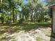 Expansive backyard with lush green grass and plenty of mature trees at 1053 Cavern Dr, Apopka, FL 32712