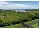 Scenic view of Lake Dora surrounded by lush greenery with a wooden walkway in the foreground at 1131 Dora Parc Ln, Mount Dora, FL 32757