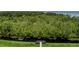 This scenic view captures lush greenery and tranquil waters, inviting one to explore the natural beauty of the surroundings at 1131 Dora Parc Ln, Mount Dora, FL 32757