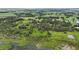 Expansive aerial view of a lush, green property with diverse trees, ponds, and scattered homes and pastures at 15104 County Road 48, Astatula, FL 34705