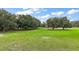 Green pasture under a blue sky with mature trees creating a serene and picturesque landscape at 15104 County Road 48, Astatula, FL 34705