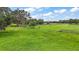 Lush pasture with healthy livestock grazing on green grass under a sunny, partly cloudy sky at 15104 County Road 48, Astatula, FL 34705