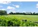 Golf course view showcasing well-maintained greens and fairways under a bright, partly cloudy sky at 16030 Vetta Dr, Bella Collina, FL 34756