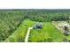 Stunning aerial view of the property showcasing the landscaped yard, driveway, and peaceful surroundings at 1702 Hidden Palms Dr, Davenport, FL 33897