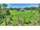 Expansive backyard with manicured lawn, lush greenery, and a horse stable at 1702 Hidden Palms Dr, Davenport, FL 33897