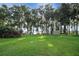 Large green backyard with trees and space leading down to the lake and dock at 30523 Orange Dr, Leesburg, FL 34748