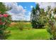 Lush backyard with trees and green grass, offering a serene and private outdoor space at 6906 Glenbrook Dr, Lakeland, FL 33811