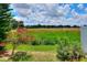 Spacious backyard featuring lush greenery, providing a peaceful retreat with a natural backdrop at 6906 Glenbrook Dr, Lakeland, FL 33811