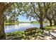 Scenic view of a serene lake framed by lush trees and a inviting park bench at 7921 Sebago Ct, Orlando, FL 32835