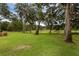 Beautiful backyard with mature trees, green grass, and tranquil views of the surrounding nature at 1325 Otters View Ct, Fruitland Park, FL 34731