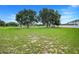 Spacious, well-maintained backyard with mature trees, providing a serene and private outdoor setting at 15629 Catherine Cir, Groveland, FL 34736
