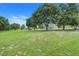 Large, grassy backyard with mature trees, offering ample space for recreation and relaxation at 15629 Catherine Cir, Groveland, FL 34736