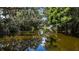 Scenic canal view showcasing the lush greenery and water reflections at 16318, 16250 & 16300 County Road 448, Mount Dora, FL 32757