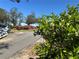 Exterior featuring lush greenery, including a blooming shrub, with a glimpse of a driveway and mature trees in the background at 16318, 16250 & 16300 County Road 448, Mount Dora, FL 32757