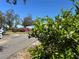 Exterior featuring lush greenery, including a blooming shrub, with a glimpse of a driveway and mature trees in the background at 16318, 16250 & 16300 County Road 448, Mount Dora, FL 32757