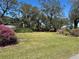 Expansive green lawn adorned with blooming azaleas and mature trees, creating a serene and inviting outdoor space at 16318, 16250 & 16300 County Road 448, Mount Dora, FL 32757