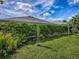 Backyard features lush green lawn and tall hedges for added privacy and a touch of nature at 1675 Westminster Ct, The Villages, FL 32162