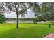 Backyard featuring a large grassy area with shade trees and a view of the lake at 24954 Navel Ave, Leesburg, FL 34748