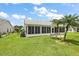 Scenic view of the back yard features tropical palm trees, lush green lawn, and covered lanai at 26034 Oakmount Dr, Leesburg, FL 34748