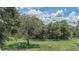 Spacious backyard with lush grass, mature trees, and a white fence creates a serene outdoor atmosphere at 32025 Timberlake Dr, Mount Dora, FL 32757