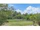 Picturesque backyard with green grass, mature trees, and a charming wooden fence at 32025 Timberlake Dr, Mount Dora, FL 32757
