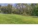 Expansive backyard with lush green grass and a classic wooden fence bordering the property at 32025 Timberlake Dr, Mount Dora, FL 32757