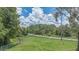 Expansive lawn with trees and road creating a scenic view of the property at 32025 Timberlake Dr, Mount Dora, FL 32757