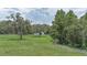 Vast lawn features scattered trees and a distant barn enhancing the property's charm at 32025 Timberlake Dr, Mount Dora, FL 32757