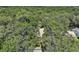 Aerial view of the property, framed by mature trees, showcasing the home's location and surrounding greenery at 4300 Leafway Cir, Leesburg, FL 34748