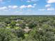 Expansive aerial view showcasing a lush, green neighborhood with mature trees and scattered homes at 4300 Leafway Cir, Leesburg, FL 34748