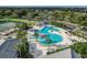 A beautiful aerial view of a community pool surrounded by palm trees and lounge chairs at 5620 Illumination Ln, Leesburg, FL 34748