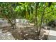 Backyard with partial shade from fruit trees and a white fence at 10431 Reagans Run Dr, Clermont, FL 34711