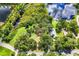 Aerial view of wooded home lot with stunning pond views at 168 Pond Rd, Mount Dora, FL 32757