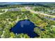 Stunning aerial view of a community lake surrounded by lush greenery and a solar farm nearby at 168 Pond Rd, Mount Dora, FL 32757