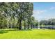 Green backyard featuring a view of the lake and surrounding trees at 168 Pond Rd, Mount Dora, FL 32757