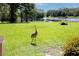 Expansive backyard featuring green grass, crane, lake, and trees at 168 Pond Rd, Mount Dora, FL 32757